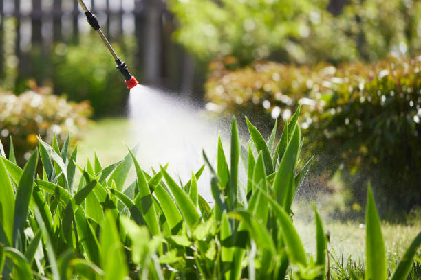 24/7 Emergency Mosquito Control experts in Willards, MD